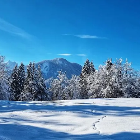 Apartma Ursic Kranjska Gora Exterior photo